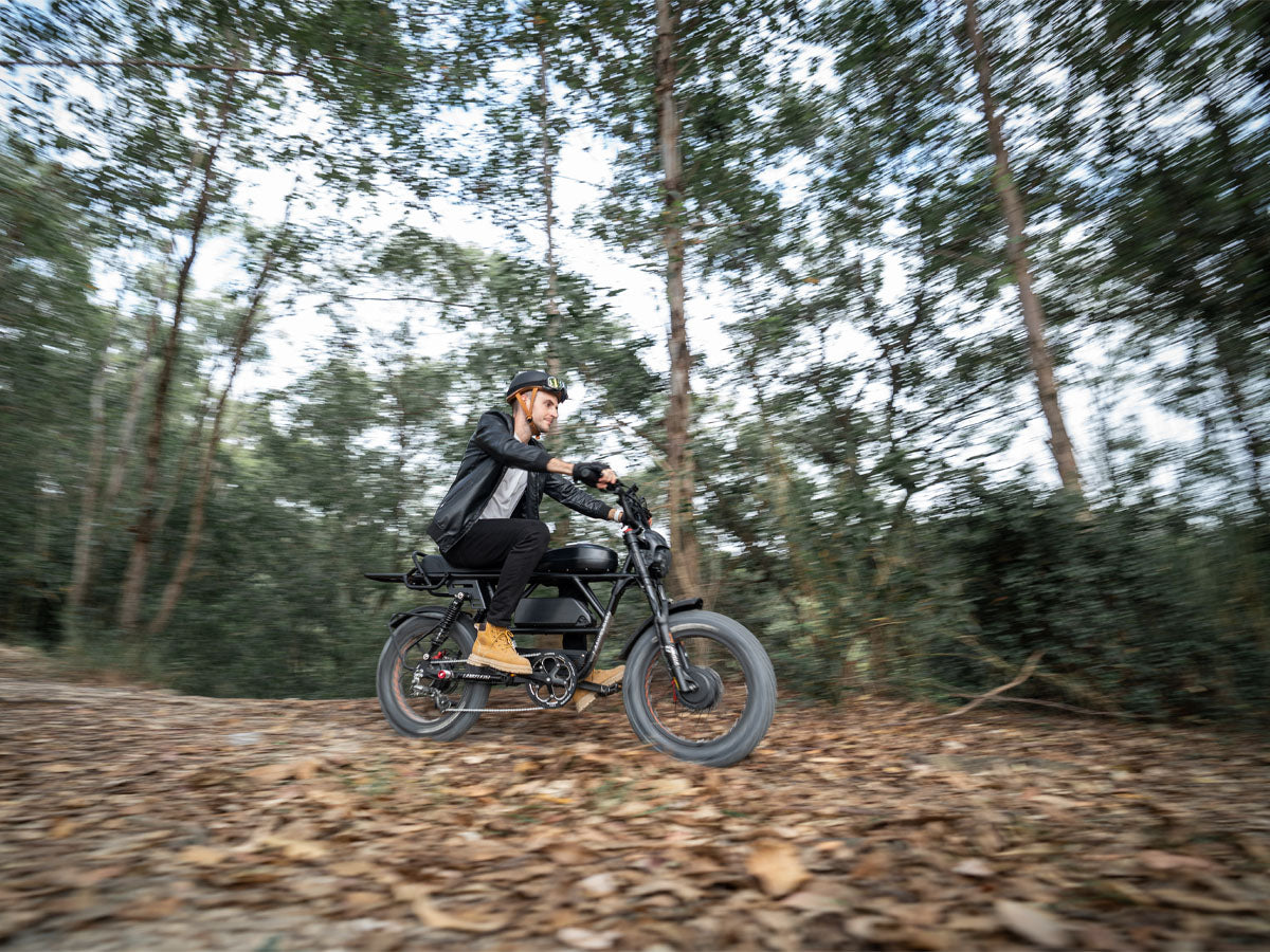 (EU Stock) LANKELEISI X-Black Knight 48V 20Ah 2000W Dual Motor Maximum Range 280KM