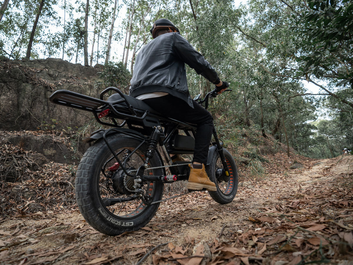 (EU Stock) LANKELEISI X-Black Knight 48V 20Ah 2000W Dual Motor Maximum Range 280KM