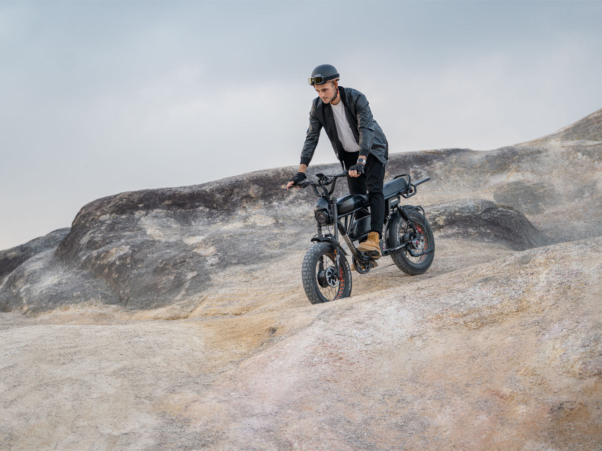 (EU Stock) LANKELEISI X-Black Knight 48V 20Ah 2000W Dual Motor Maximum Range 280KM