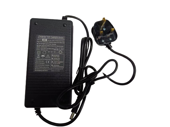 Lankeleisi Electric Bike Charger