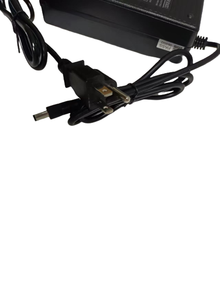 Lankeleisi Electric Bike Charger