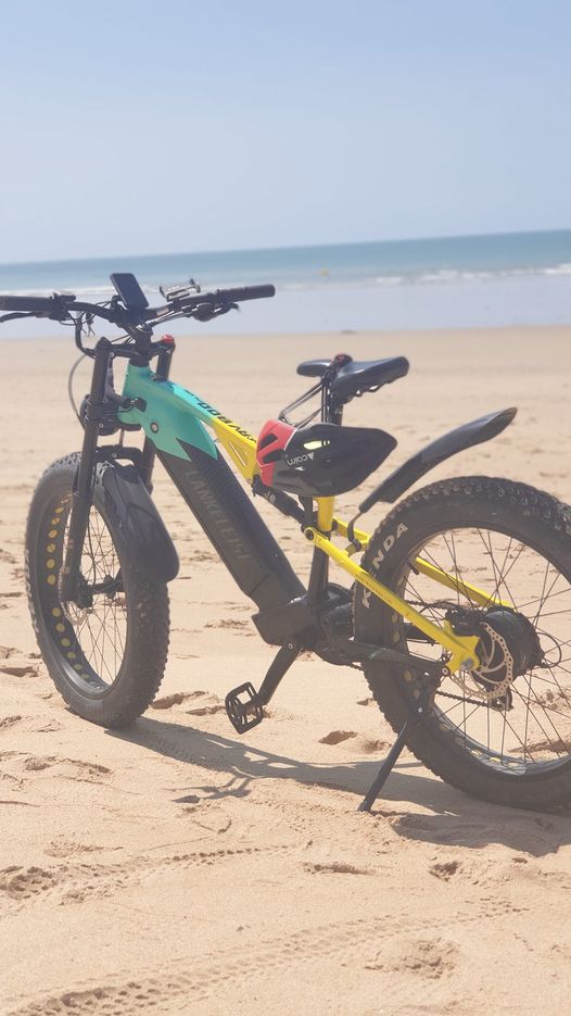 (EU Stock)Lankeleisi RV800 Plus High Quality 48V 20Ah SAMSUNG Battery 750W Motor Electric Mountain Bike
