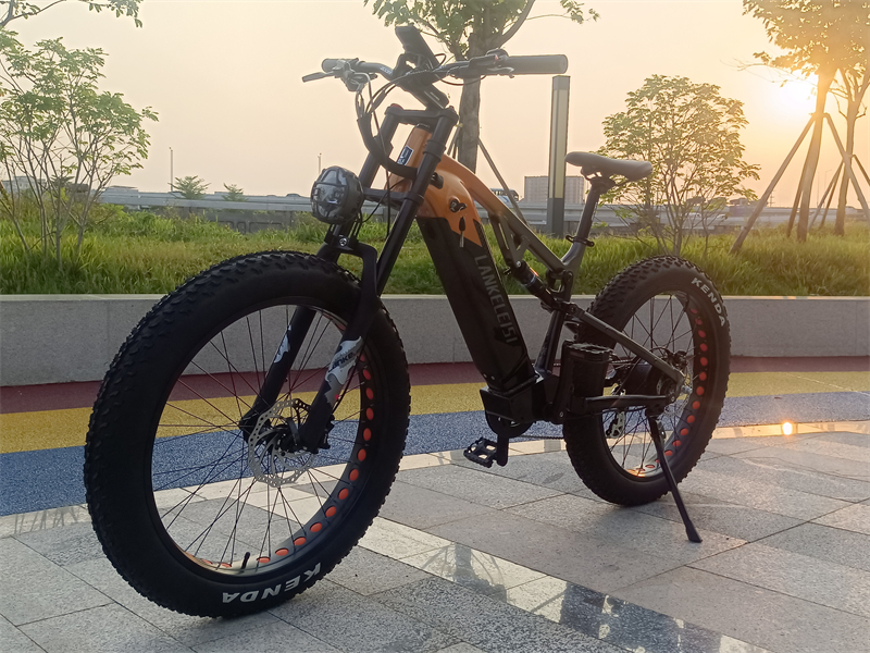 (EU Stock)Lankeleisi RV800 Plus High Quality 48V 20Ah SAMSUNG Battery 750W Motor Electric Mountain Bike