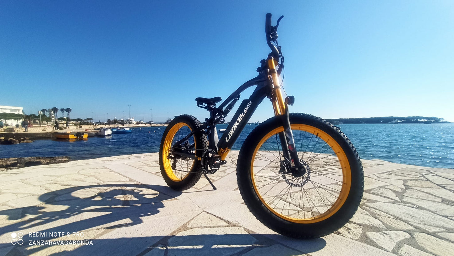 ( EU Stock) Lankeleisi RV700 48V 16Ah 1000W Samsung Battery Electric Hunting Bike