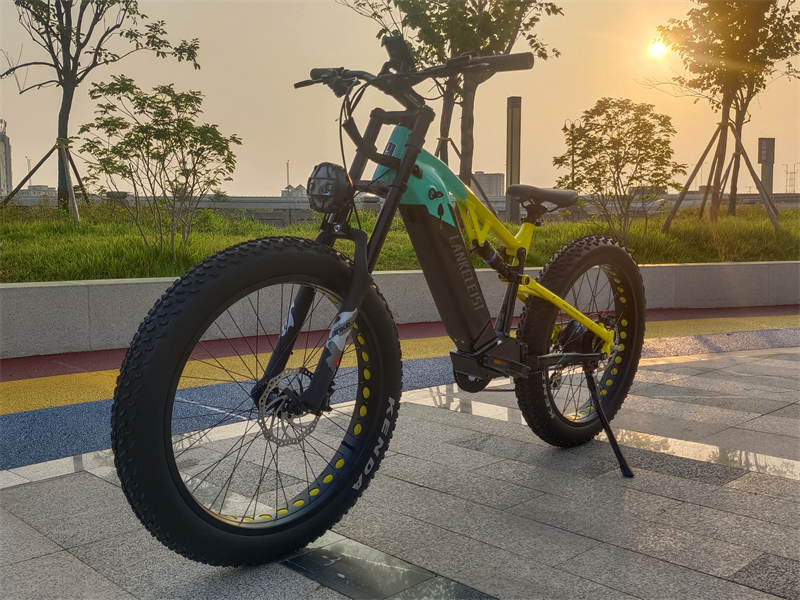(EU Stock)Lankeleisi RV800 Plus High Quality 48V 20Ah SAMSUNG Battery 750W Motor Electric Mountain Bike