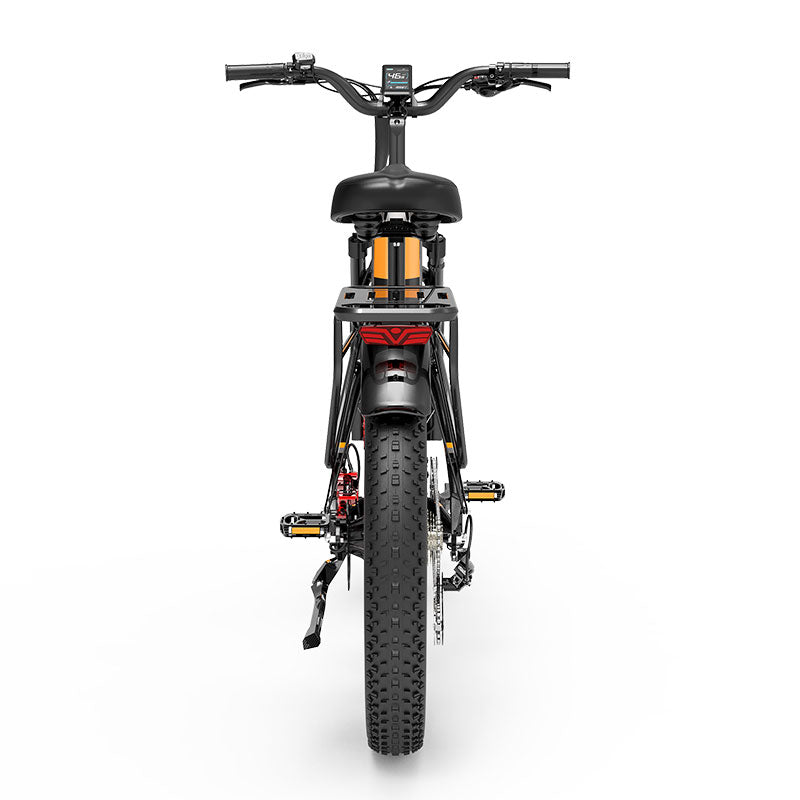 (USA Stock)Lankeleisi MG600 PLUS 48V 20AH 2000W Dual Motor Fat Tire Off-road Ebike