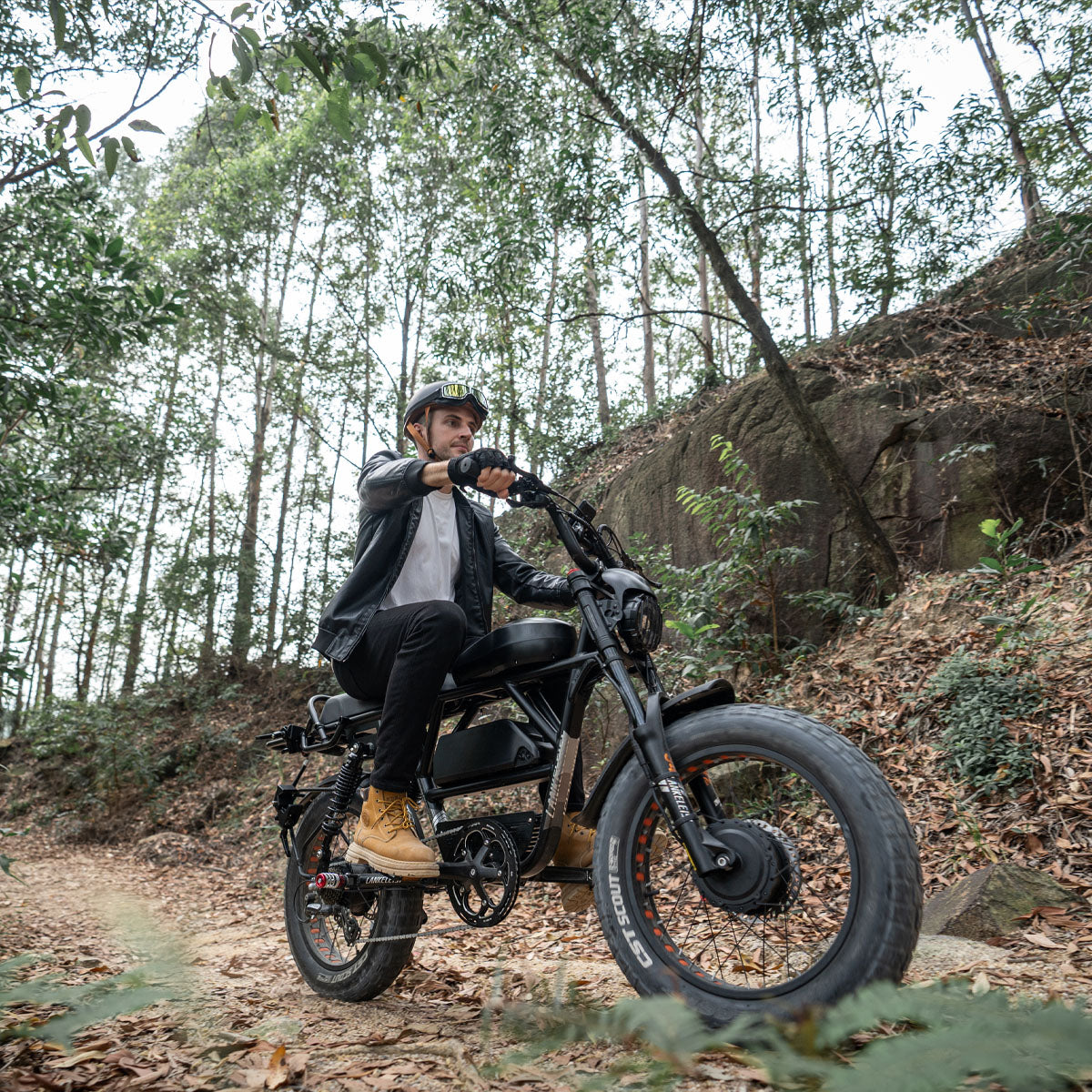 (EU Stock) LANKELEISI X-Black Knight 48V 20Ah 2000W Dual Motor Maximum Range 280KM