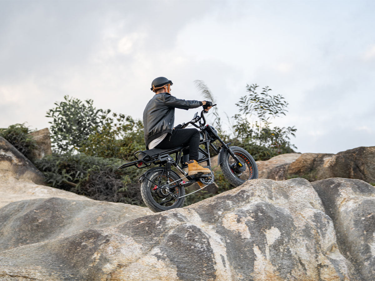 (EU Stock) LANKELEISI X-Black Knight 48V 20Ah 2000W Dual Motor Maximum Range 280KM