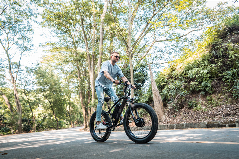 ( EU Stock) Lankeleisi MG740 PLUS 48V 20Ah Dual Motor Off-Road Electric Bicycle