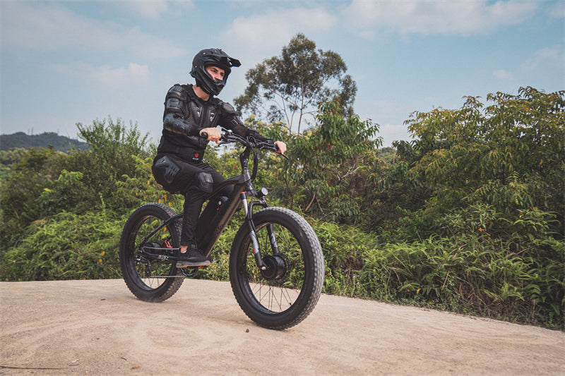 ( EU Stock) Lankeleisi MG740 PLUS 48V 20Ah Dual Motor Off-Road Electric Bicycle