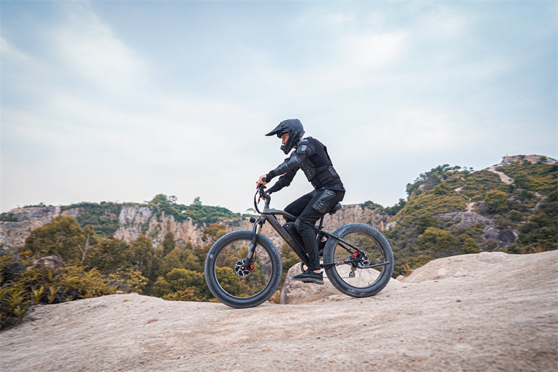 ( EU Stock) Lankeleisi MG740 PLUS 48V 20Ah Dual Motor Off-Road Electric Bicycle