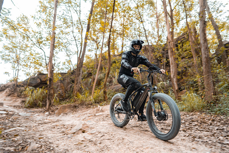( EU Stock) Lankeleisi MG740 PLUS 48V 20Ah Dual Motor Off-Road Electric Bicycle
