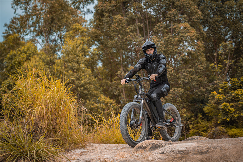 ( EU Stock) Lankeleisi MG740 PLUS 48V 20Ah Dual Motor Off-Road Electric Bicycle