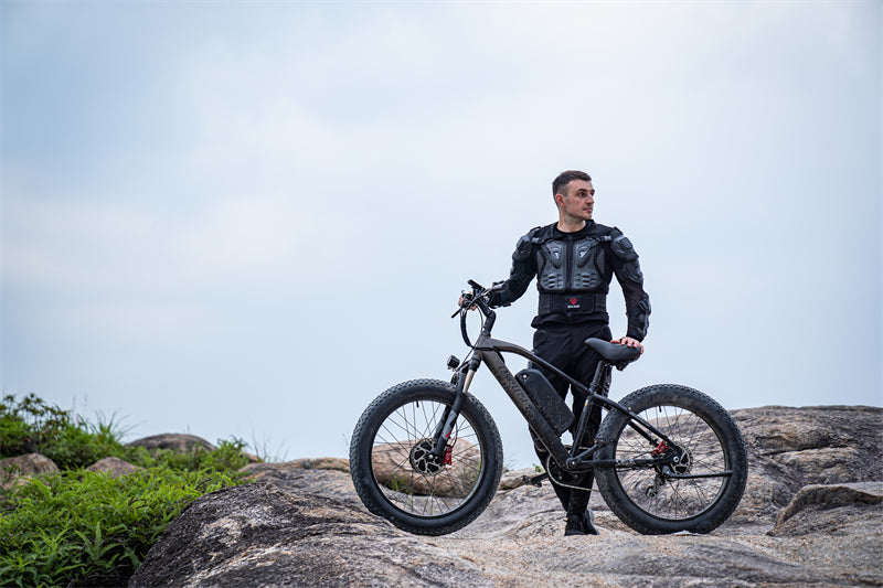 ( EU Stock) Lankeleisi MG740 PLUS 48V 20Ah Dual Motor Off-Road Electric Bicycle