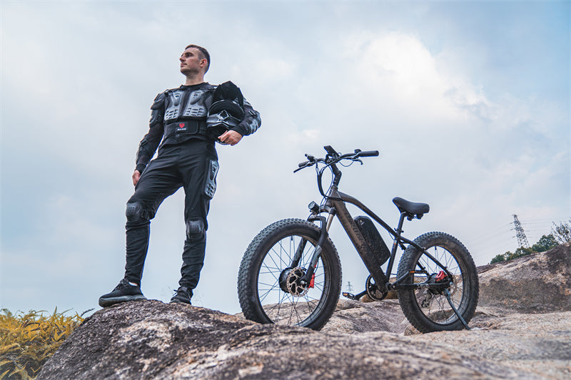 ( EU Stock) Lankeleisi MG740 PLUS 48V 20Ah Dual Motor Off-Road Electric Bicycle