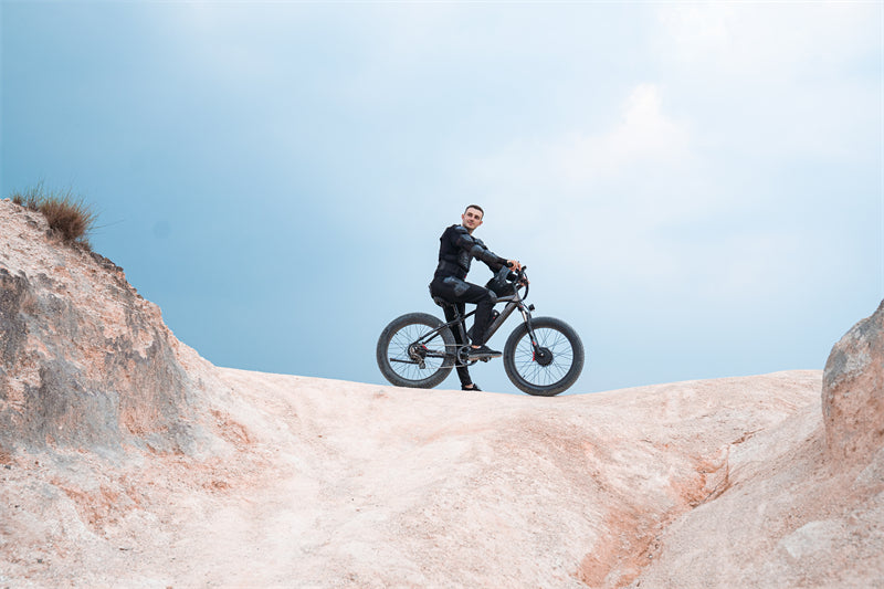( EU Stock) Lankeleisi MG740 PLUS 48V 20Ah Dual Motor Off-Road Electric Bicycle