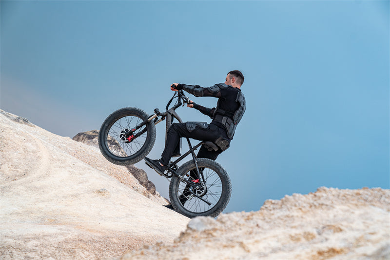( EU Stock) Lankeleisi MG740 PLUS 48V 20Ah Dual Motor Off-Road Electric Bicycle