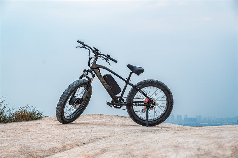 ( EU Stock) Lankeleisi MG740 PLUS 48V 20Ah Dual Motor Off-Road Electric Bicycle