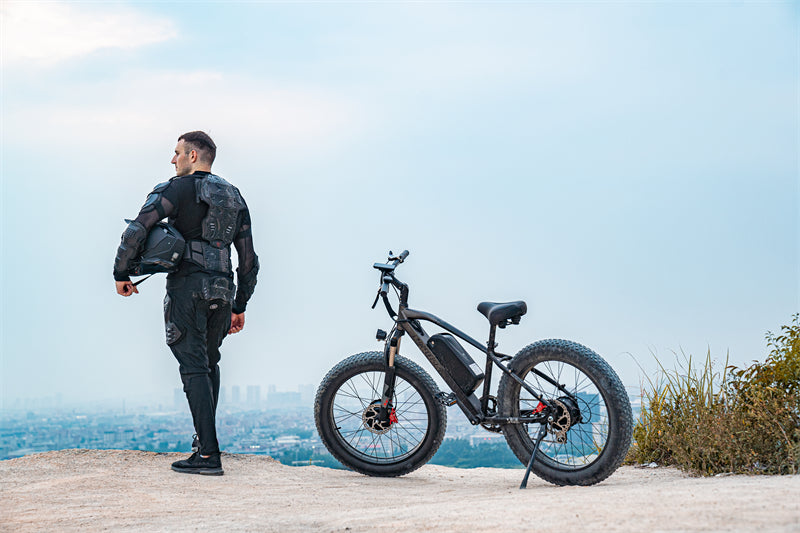 ( EU Stock) Lankeleisi MG740 PLUS 48V 20Ah Dual Motor Off-Road Electric Bicycle