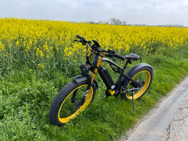 ( EU Stock) Lankeleisi RV700 48V 16Ah 1000W Samsung Battery Electric Hunting Bike