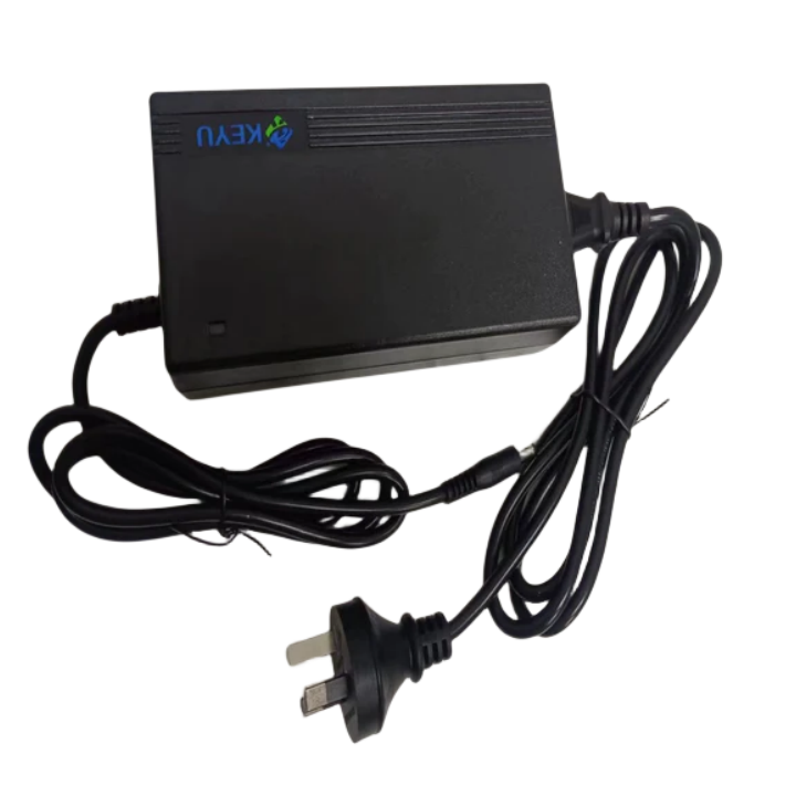 Lankeleisi Electric Bike Charger