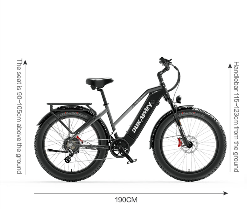 (EU Stock) Lankeleisi DM530 PLUS 52V 20AH 1000W Brushless Motor Fat Tire Mountain & Off-road Ebike