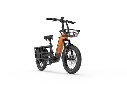 (EU Stock)Lankeleisi Wombat-1 Can Carry Children 48V 20AH SAMSUNG Battery 1000W City Ebike
