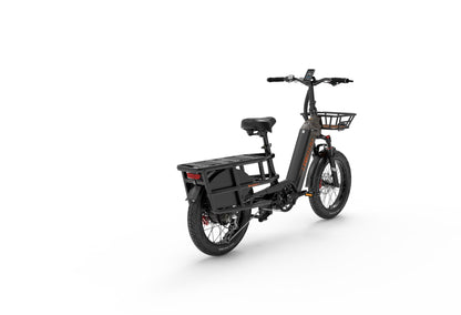 (EU Stock)Lankeleisi Wombat-1 Can Carry Children 48V 20AH SAMSUNG Battery 1000W City Ebike