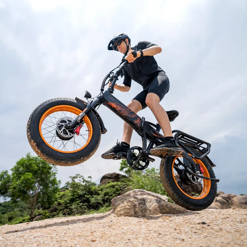 LANKELEISI X2000MAX Folding Fat Tire Electric Bike 2000W Brushless Motor 48V20Ah Samsung Battery Hydraulic Brake Ebike
