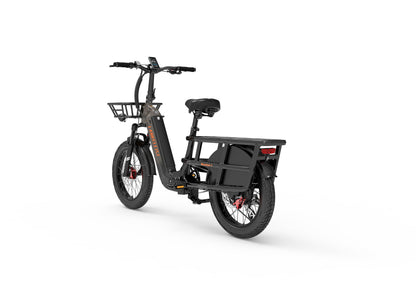 (EU Stock)Lankeleisi Wombat-1 Can Carry Children 48V 20AH SAMSUNG Battery 1000W City Ebike