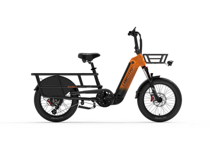 (EU Stock)Lankeleisi Wombat-1 Can Carry Children 48V 20AH SAMSUNG Battery 1000W City Ebike