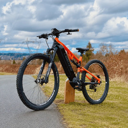 LANKELEISI GT800 Mid Drive Electric Mountain Bike 500W Bafang Motor 48V20Ah Samsung Battery 29 Inch Hydraulic Brake E-Bike