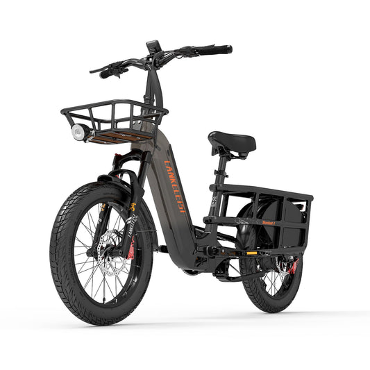 (EU Stock)Lankeleisi Wombat-1 Can Carry Children 48V 20AH SAMSUNG Battery 1000W City Ebike