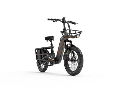 (EU Stock)Lankeleisi Wombat-1 Can Carry Children 48V 20AH SAMSUNG Battery 1000W City Ebike