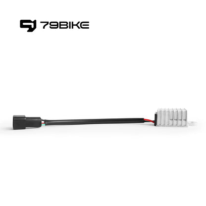 79BIKE E-BIKE E-MOTOR REPLACEABLE VOLTAGE CONVERTER