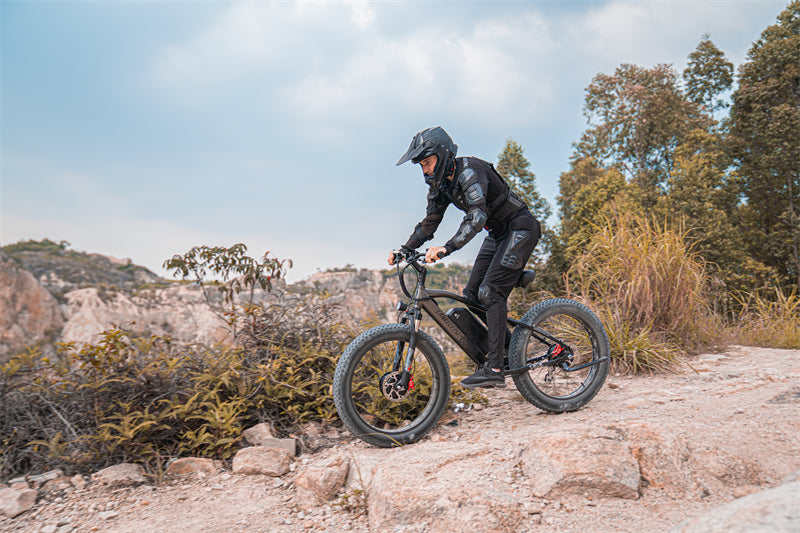 (USA EU UK Stock) Lankeleisi MG740 PLUS Dual Motor Off-Road Electric Bicycle(New In 2023)