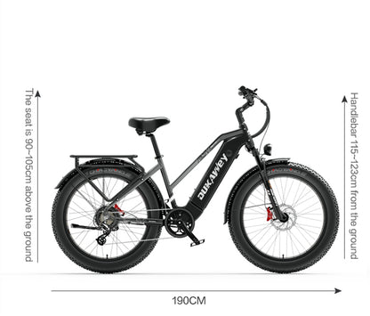 (EU Stock) Lankeleisi DM530 PLUS 52V 20AH 1000W Brushless Motor Fat Tire Mountain & Off-road Ebike